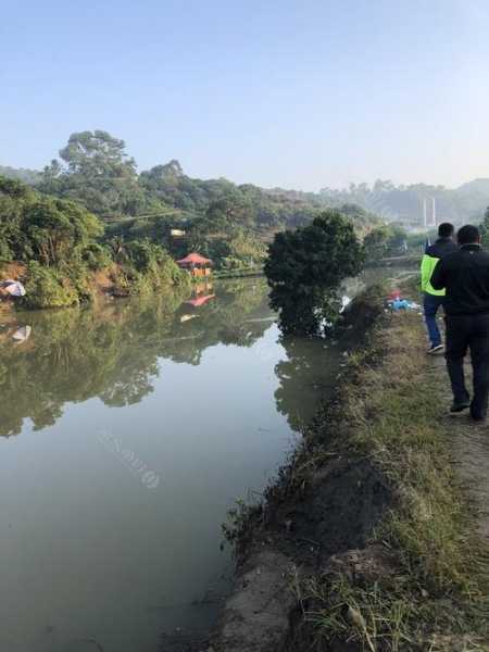 南门钓鱼山庄怎么样，南门山钓鱼场！-第1张图片-平阳县乌魄百货商行