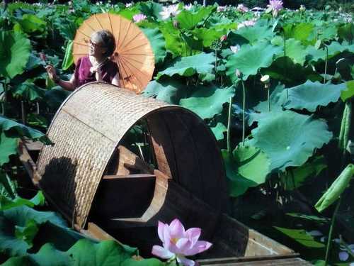 莲塘小水钓鱼怎么样，莲塘水厂电话！-第3张图片-平阳县乌魄百货商行