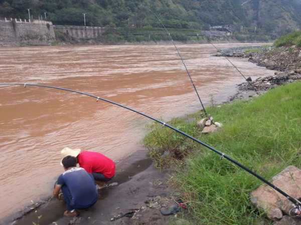 金沙底水钓鱼怎么样，金沙江里钓鱼用什么鱼饵好?-第1张图片-平阳县乌魄百货商行