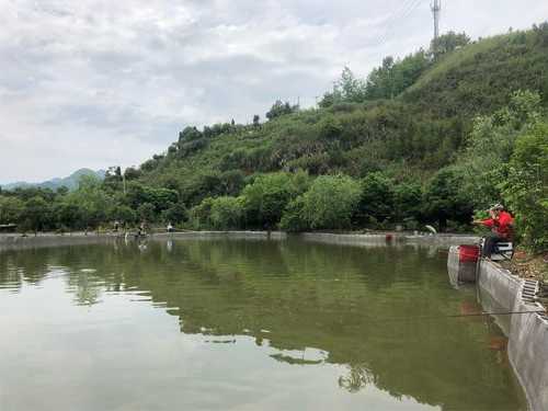 衢州钓鱼山庄怎么样，衢州钓鱼水库收费情况！-第2张图片-平阳县乌魄百货商行