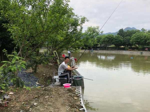 衢州钓鱼山庄怎么样，衢州钓鱼水库收费情况！-第3张图片-平阳县乌魄百货商行