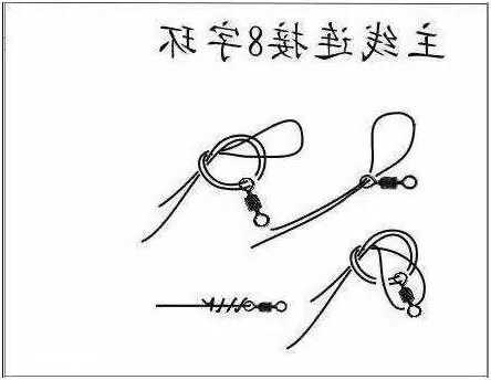 鱼头钓鱼直播怎么样？钓鱼头怎么打结？-第1张图片-平阳县乌魄百货商行