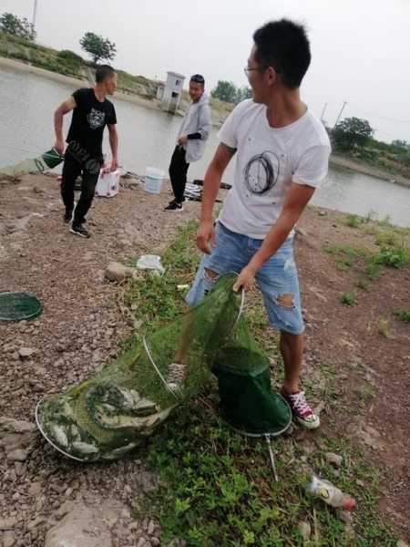 蚌埠现在钓鱼怎么样，蚌埠哪里钓鱼？-第2张图片-平阳县乌魄百货商行