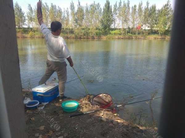 蚌埠现在钓鱼怎么样，蚌埠哪里钓鱼？-第3张图片-平阳县乌魄百货商行