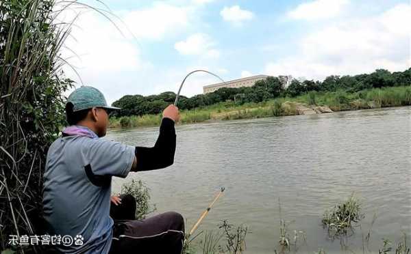 初夏北风钓鱼怎么样，初夏北风钓鱼怎么样啊！-第3张图片-平阳县乌魄百货商行