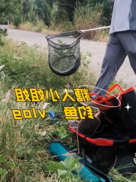 糖芯钓鱼怎么样？糖芯钓鱼怎么样好钓吗？-第3张图片-平阳县乌魄百货商行