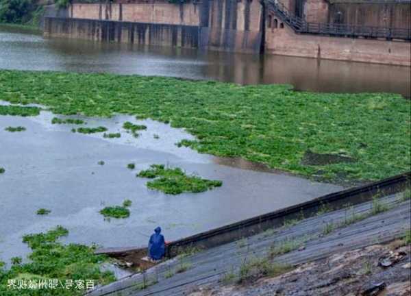 大方陡坡钓鱼怎么样，大方滑坡？-第1张图片-平阳县乌魄百货商行