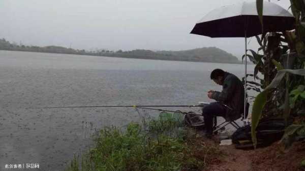 台风下雨怎么样钓鱼，台风下雨怎么样钓鱼最好？-第2张图片-平阳县乌魄百货商行