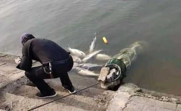 沂河露营钓鱼怎么样，沂河边适合野餐的地方！-第3张图片-平阳县乌魄百货商行