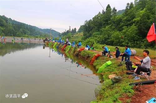 平昌钓鱼山庄怎么样，平昌有哪些水库！-第1张图片-平阳县乌魄百货商行