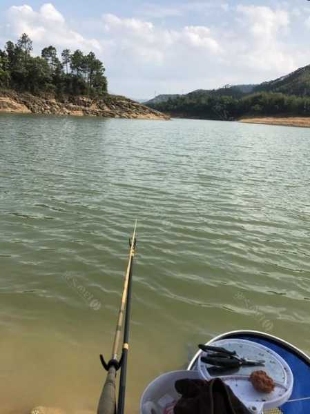 沙坪水库钓鱼怎么样，沙坪坝水库-第3张图片-平阳县乌魄百货商行