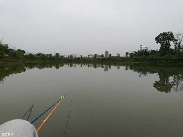 张湾河沟钓鱼怎么样，张湾河沟钓鱼怎么样好钓吗？-第1张图片-平阳县乌魄百货商行