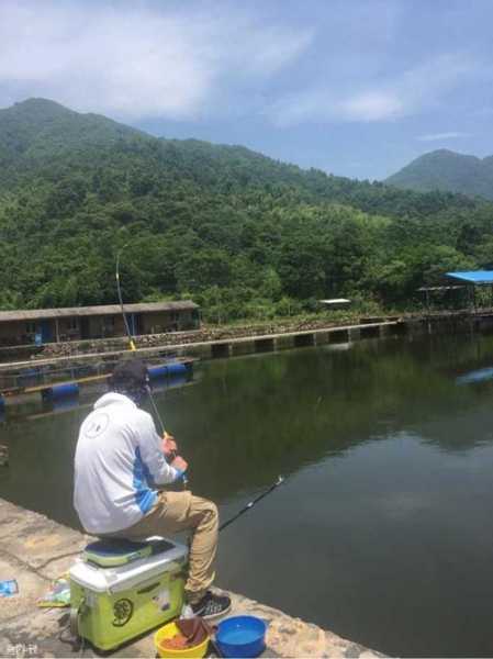 台州山上钓鱼怎么样，台州山上钓鱼怎么样好钓吗！-第2张图片-平阳县乌魄百货商行