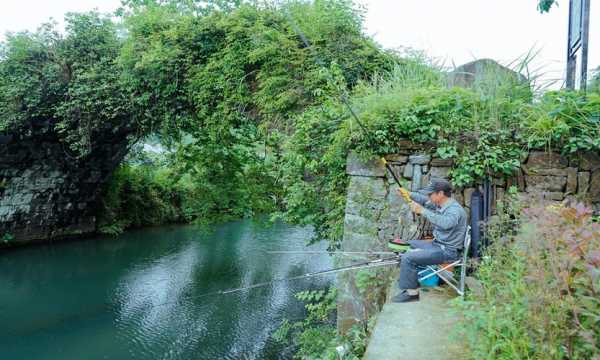 桥梁下面钓鱼怎么样，桥下钓鱼钓边还是中间点！-第3张图片-平阳县乌魄百货商行