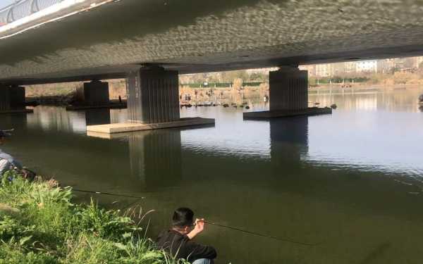 桥梁下面钓鱼怎么样，桥下钓鱼钓边还是中间点！-第2张图片-平阳县乌魄百货商行