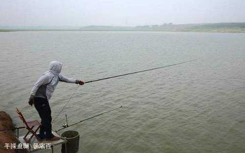 咸淡水钓鱼怎么样，在咸淡水河流钓鱼技巧！-第3张图片-平阳县乌魄百货商行