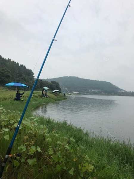 徐州雨天钓鱼怎么样，徐州垂钓天冷也可以钓鱼的地方-第3张图片-平阳县乌魄百货商行