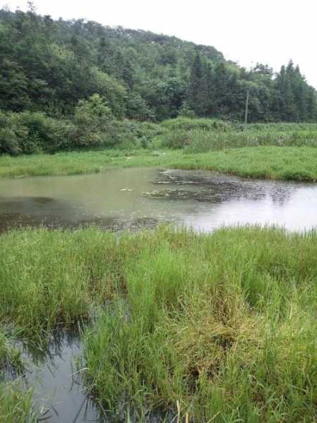 徐州雨天钓鱼怎么样，徐州垂钓天冷也可以钓鱼的地方-第2张图片-平阳县乌魄百货商行