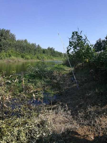 睢宁水库钓鱼怎么样，睢宁钓鱼地点？-第3张图片-平阳县乌魄百货商行