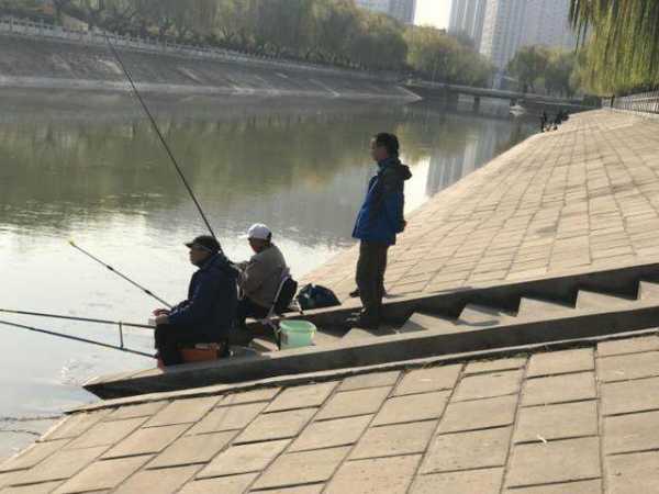 东风渠钓鱼怎么样，东风渠有鱼吗-第3张图片-平阳县乌魄百货商行