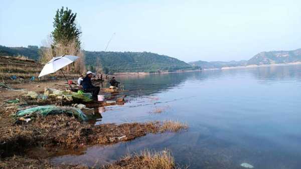 新河农庄钓鱼怎么样？新河水库钓鱼？-第1张图片-平阳县乌魄百货商行