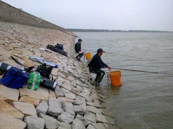 渭河最近钓鱼怎么样，渭河可以玩路亚吗-第2张图片-平阳县乌魄百货商行