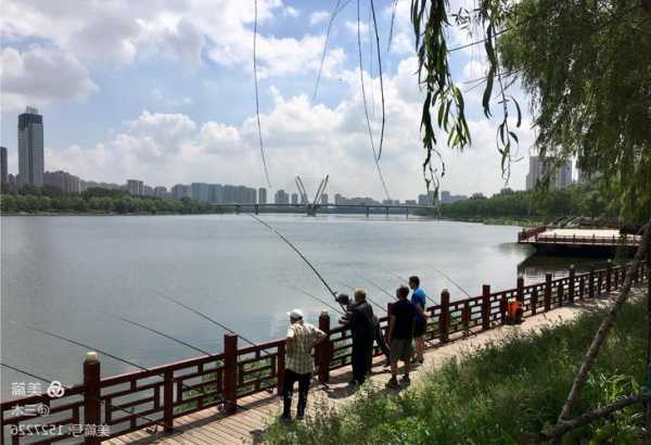 沈阳公园钓鱼怎么样，沈阳哪个公园能钓鱼-第3张图片-平阳县乌魄百货商行