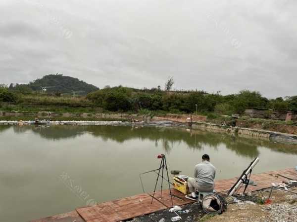 鹤庆野炊钓鱼怎么样，鹤庆钓鱼哪里好钓？-第2张图片-平阳县乌魄百货商行