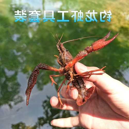 北斗钓鱼钓虾怎么样，北斗鱼竿！-第3张图片-平阳县乌魄百货商行