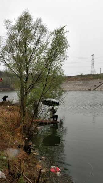 宜阳水库钓鱼怎么样？宜阳有水的地方？-第2张图片-平阳县乌魄百货商行