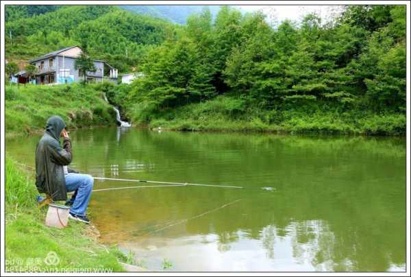 山间泉水钓鱼怎么样，山间泉水钓鱼怎么样好钓吗！-第2张图片-平阳县乌魄百货商行