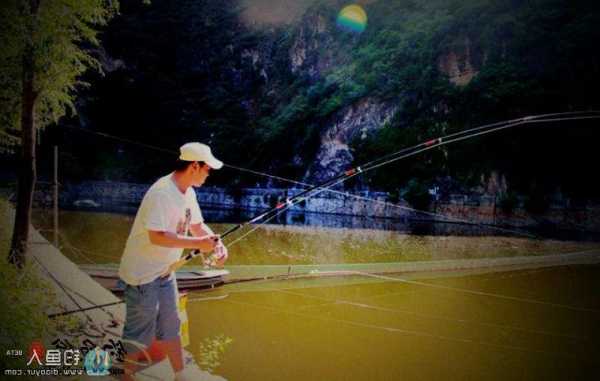 山间泉水钓鱼怎么样，山间泉水钓鱼怎么样好钓吗！-第1张图片-平阳县乌魄百货商行