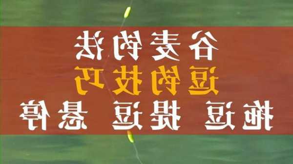 逗钓鱼效果怎么样，逗钓钓法视频！-第2张图片-平阳县乌魄百货商行