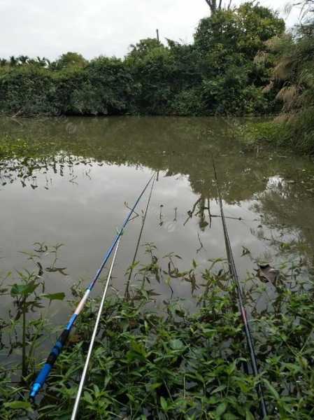 夏天小沟钓鱼怎么样，夏季钓河沟怎么钓-第3张图片-平阳县乌魄百货商行