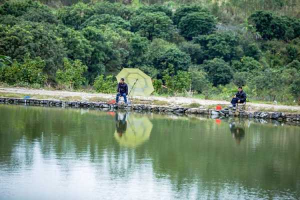 丰乐休闲钓鱼怎么样，丰乐河钓鱼好地方-第3张图片-平阳县乌魄百货商行