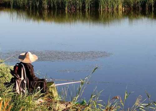 东湖鱼塘钓鱼怎么样，东湖公园 钓鱼？-第2张图片-平阳县乌魄百货商行