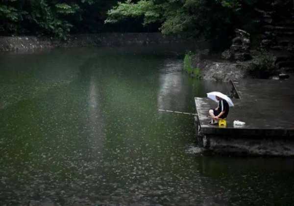 下了大雨钓鱼怎么样，下大雨钓鱼钓深还是浅-第3张图片-平阳县乌魄百货商行