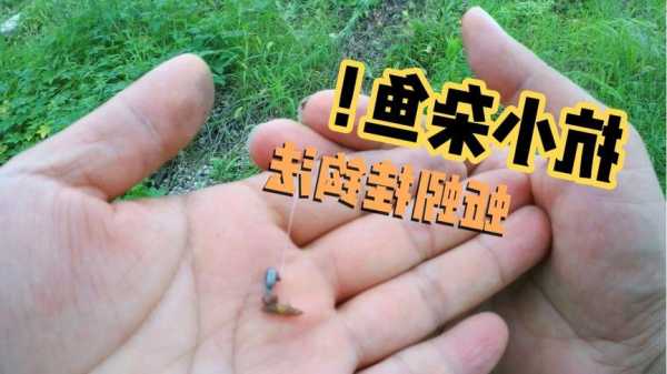 怎么样不用蚯蚓钓鱼，野钓不打窝只用蚯蚓钓好不好！-第1张图片-平阳县乌魄百货商行