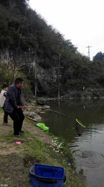 遵义河水钓鱼怎么样，遵义河水钓鱼怎么样啊？-第1张图片-平阳县乌魄百货商行