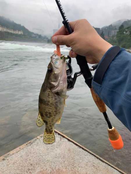 遵义河水钓鱼怎么样，遵义河水钓鱼怎么样啊？-第2张图片-平阳县乌魄百货商行