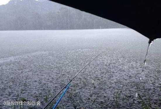 雨后钓鱼鱼口怎么样，雨后钓鱼口好吗-第1张图片-平阳县乌魄百货商行