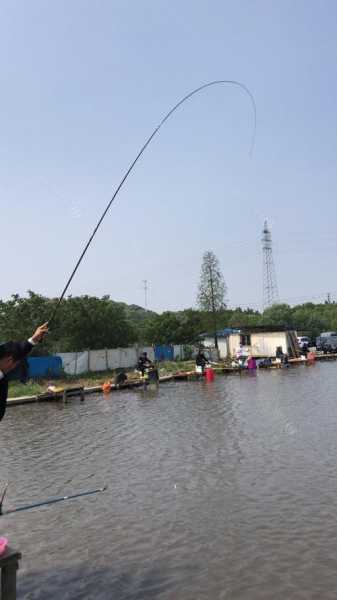 湖州荒野钓鱼怎么样，湖州哪里有钓鱼的地方-第2张图片-平阳县乌魄百货商行