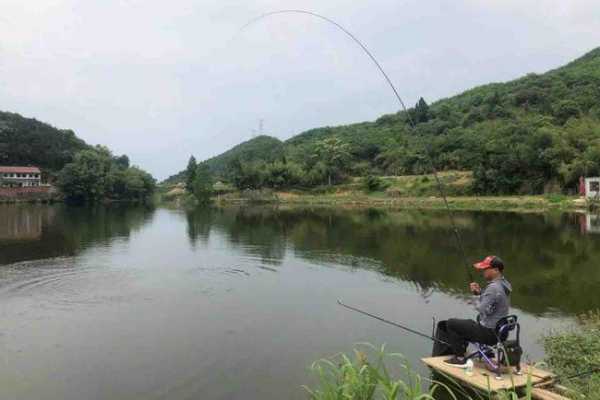 河南小沟钓鱼怎么样？小河沟野钓视频？-第3张图片-平阳县乌魄百货商行