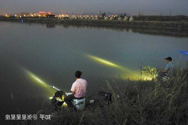 夜间钓鱼效果怎么样，夜间钓鱼的技巧大全！-第3张图片-平阳县乌魄百货商行