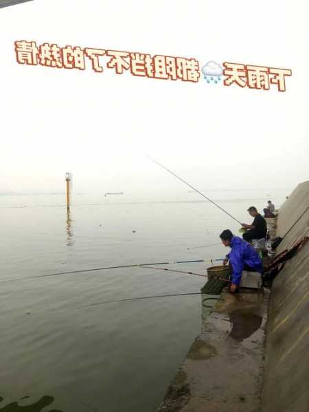 北方下雨怎么样钓鱼？北方下雨怎么样钓鱼最好？-第1张图片-平阳县乌魄百货商行