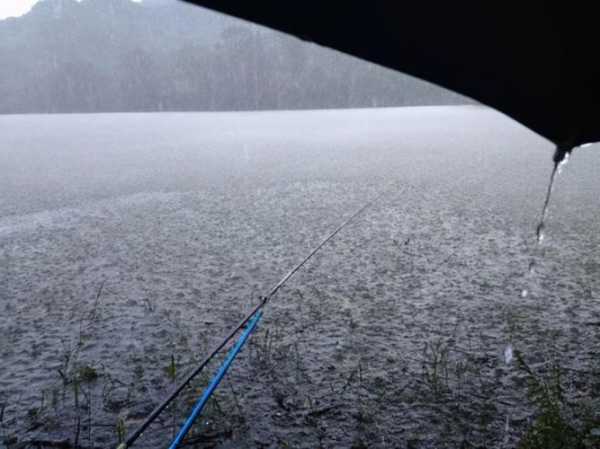 萍乡雨天钓鱼怎么样，萍乡哪里可以钓路亚-第3张图片-平阳县乌魄百货商行