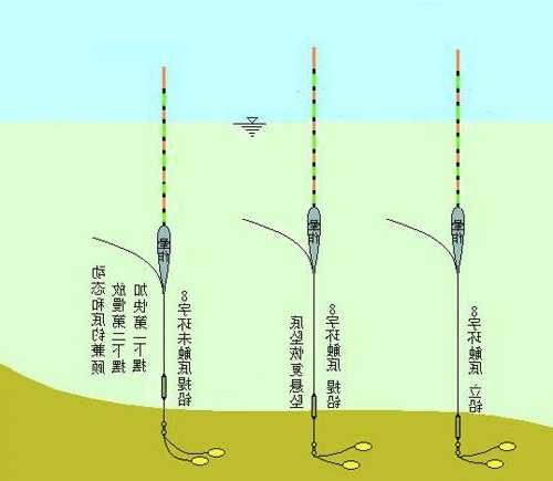 钓鱼怎么样选水底，怎么选择钓底还是钓浮！-第1张图片-平阳县乌魄百货商行