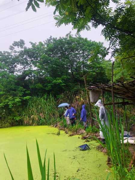 渔船冒雨钓鱼怎么样，下雨天船钓好不好！-第2张图片-平阳县乌魄百货商行