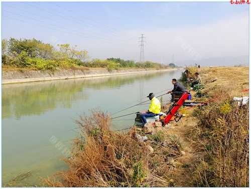 坝口钓鱼怎么样，坝口有鱼吗-第2张图片-平阳县乌魄百货商行