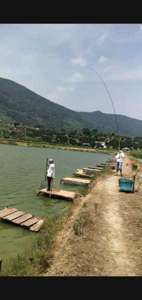 水站口钓鱼怎么样，水口钓鱼场！-第3张图片-平阳县乌魄百货商行